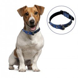 Yumuşak Dokulu Deri Köpek Gezdirme Boyun Tasması (Large) Yumuşak Dokulu Deri Köpek Gezdirme Boyun Tasması (Large)