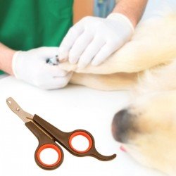 Küçük Çelik Uçlu Kedi Köpek Evcil Hayvan Tırnak Makası Pati Bakım Aleti Ergonomik Kaymaz Sap Küçük Çelik Uçlu Kedi Köpek Evcil Hayvan Tırnak Makası Pati Bakım Aleti Ergonomik Kaymaz Sap