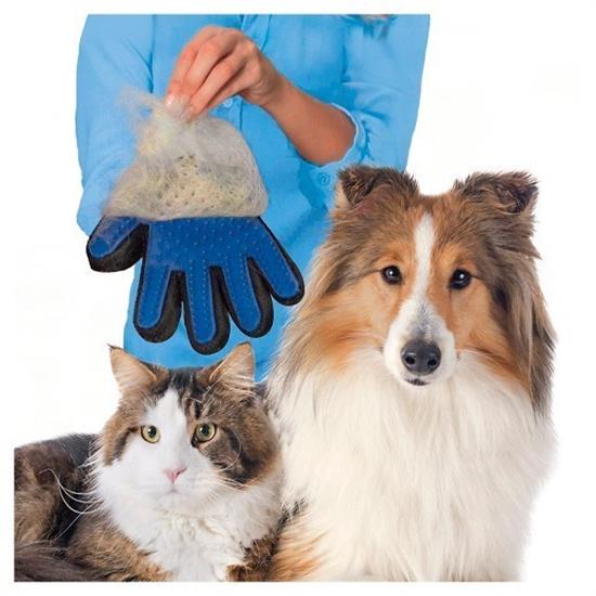 Tüy Toplayan Kedi Temizleme Eldiveni Kedi Tüy Toplama Eldiveni Tüy Toplayan Kedi Temizleme Eldiveni Kedi Tüy Toplama Eldiveni