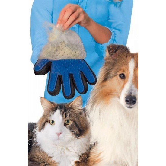 Tüy Toplayan Kedi Temizleme Eldiveni Kedi Tüy Toplama Eldiveni Tüy Toplayan Kedi Temizleme Eldiveni Kedi Tüy Toplama Eldiveni