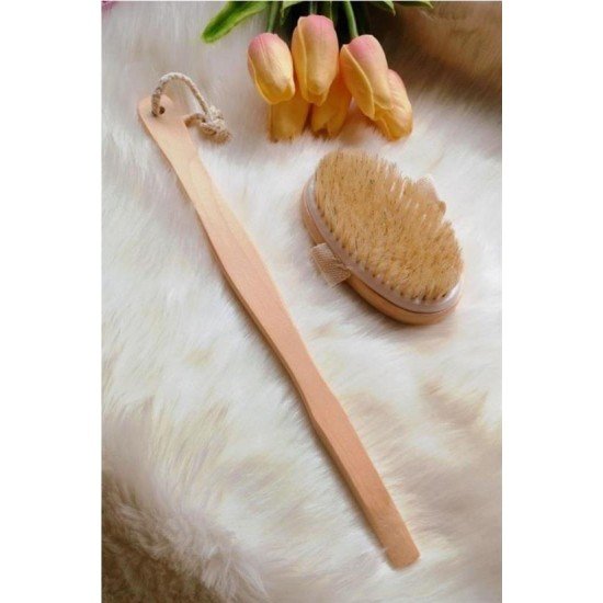 Doğal At Kılı Selülit Karşıtı Sapı Çıkabilen Ahşap Banyo Fırçası Doğal At Kılı Selülit Karşıtı Sapı Çıkabilen Ahşap Banyo Fırçası