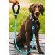 Reflektörlü Fosforlu Köpek Gezdirme Halatı Tasma Kayışı Metal Kancalı 130 cm 