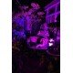 Kumandalı Led Işık Dış Cephe Aydınlatması Çok Renkli RGB Led Panel Işık PartiLed Aydınlatma Kumandalı Led Işık Dış Cephe Aydınlatması Çok Renkli RGB Led Panel Işık PartiLed Aydınlatma
