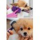 Otomatik Temizlenebilen Tuşlu Pratik Kedi Köpek Tüy Toplama Fırçası Otomatik Temizlenebilen Tuşlu Pratik Kedi Köpek Tüy Toplama Fırçası