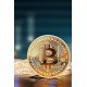 Bitcoin Madeni Hatıra Parası Madeni Bitcoin Hediye Sikke Para Bitcoin Madeni Hatıra Parası Madeni Bitcoin Hediye Sikke Para