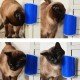 Cat It Pratik Kedi Tüyü Kaşıma Ve Tarama Aparatı Duvara Monte Kaşıma Aleti Cat It Pratik Kedi Tüyü Kaşıma Ve Tarama Aparatı Duvara Monte Kaşıma Aleti