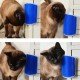Cat It Pratik Kedi Tüyü Kaşıma Ve Tarama Aparatı Duvara Monte Kaşıma Aleti Cat It Pratik Kedi Tüyü Kaşıma Ve Tarama Aparatı Duvara Monte Kaşıma Aleti