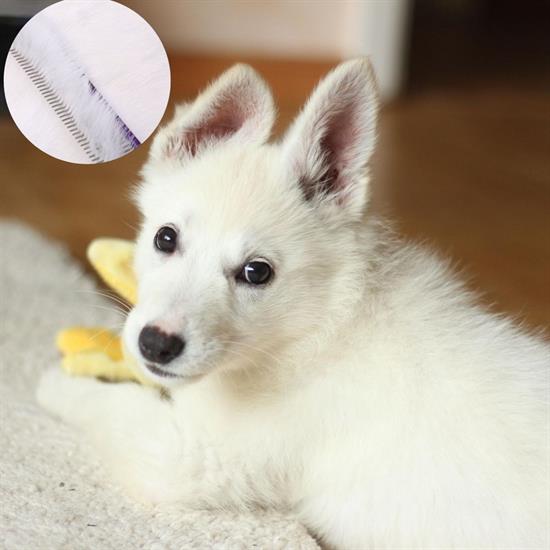 Parlak Metal Köpek Tarağı Renkli Pet Köpek Pire Tımar Tarağı Köpek Tüyü Tarama Parlak Metal Köpek Tarağı Renkli Pet Köpek Pire Tımar Tarağı Köpek Tüyü Tarama
