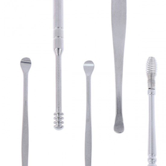 6 Parça Paslanmaz Çelik Kulak Balmumu Toplayıcı Çıkarıcı Temizleyici Bakımı Çubuk Seti