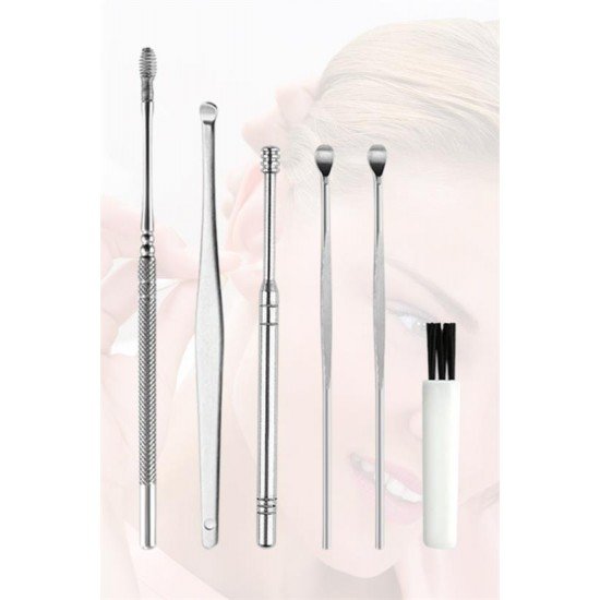 6 Parça Paslanmaz Çelik Kulak Balmumu Toplayıcı Çıkarıcı Temizleyici Bakımı Çubuk Seti