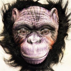 Siyah Saçlı Goril Maskesi Orangutan Maymun Maskesi Mega Peluş 36 No Siyah Saçlı Goril Maskesi Orangutan Maymun Maskesi Mega Peluş 36 No