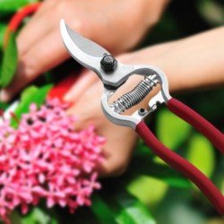 Bağ Makası - Bahçe Makası