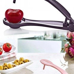 Zeytin Çekirdeği Çıkartma Aparatı Zeytin Çekirdeği Çıkartma Aparatı