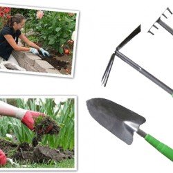 Bahçe Hobi Seti ( 3 Parça )