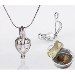 İstiridye Kabuğunda Gerçek İnci Kolye İstiridye Kabuğunda Gerçek İnci Kolye