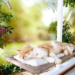 Seat Cama Asılan Kedi Yatağı Seat Cama Asılan Kedi Yatağı