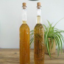 Toskana Yağdanlık - Sirkelik Şişe 2li Set Toskana Yağdanlık - Sirkelik Şişe 2li Set