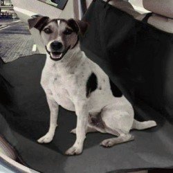 Evcil Hayvan Araç Arka Koltuk Kılıfı - Siyah  (Taşıma Çantası Hediye)