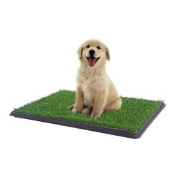 Yavru Köpek Tuvalet Eğitim Parkı 3 Katmanlı - 45Cm x 32 Cm Yavru Köpek Tuvalet Eğitim Parkı 3 Katmanlı - 45Cm x 32 Cm