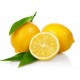 Limon Bonesi / 250 Adet / Bitki Çayı Bonesi